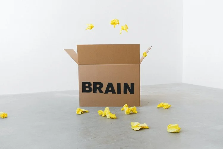 brain-box